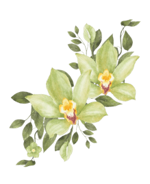 Blooming flower tea decoration - Singapore premium flowering tea specialist